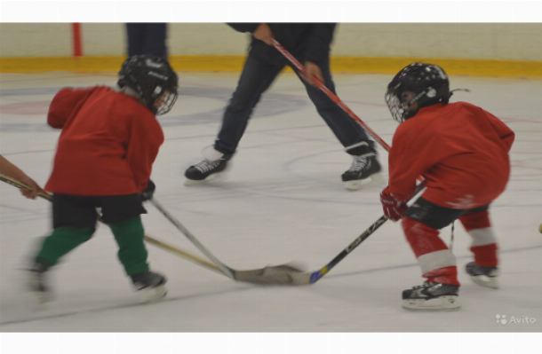 Содержание и методика обучения катанию на коньках