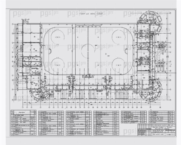 Бизнес план строительства Ледового дворца