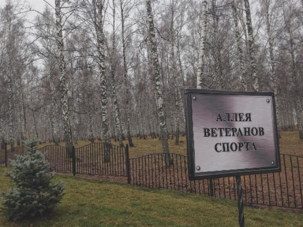 Сибири сельский ледовый дворец