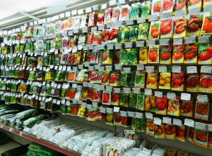Интернет магазин семян: выбираем лучшую торговую точку и оперативно оформляем заказ!